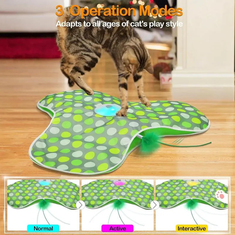 😺 Keep Them Active, Keep Them Happy – Cat Playtime Essential!