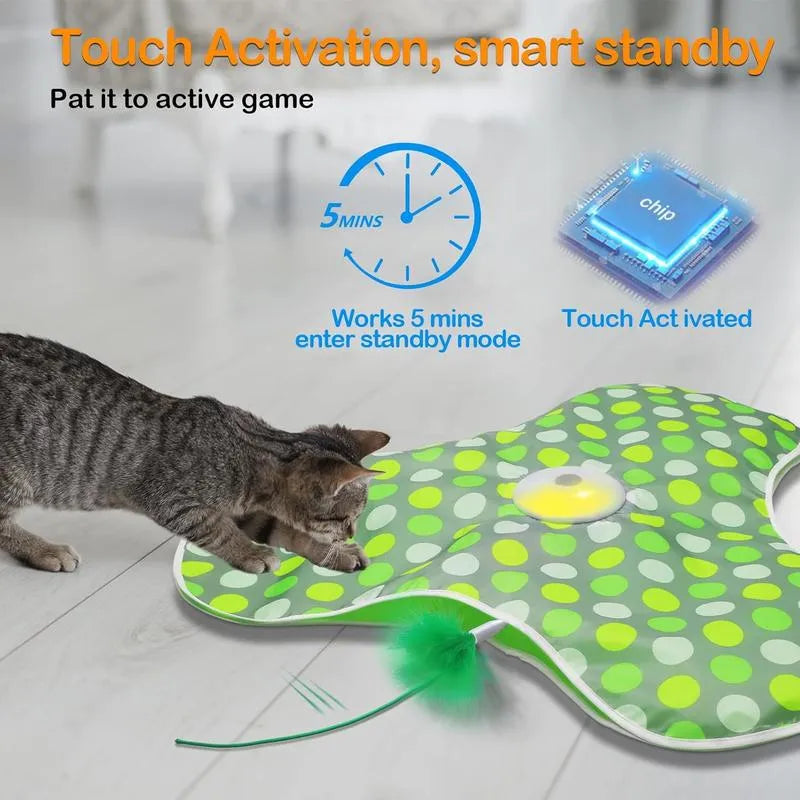 😺 Keep Them Active, Keep Them Happy – Cat Playtime Essential!