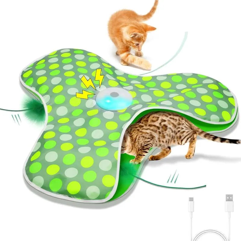 😺 Keep Them Active, Keep Them Happy – Cat Playtime Essential!