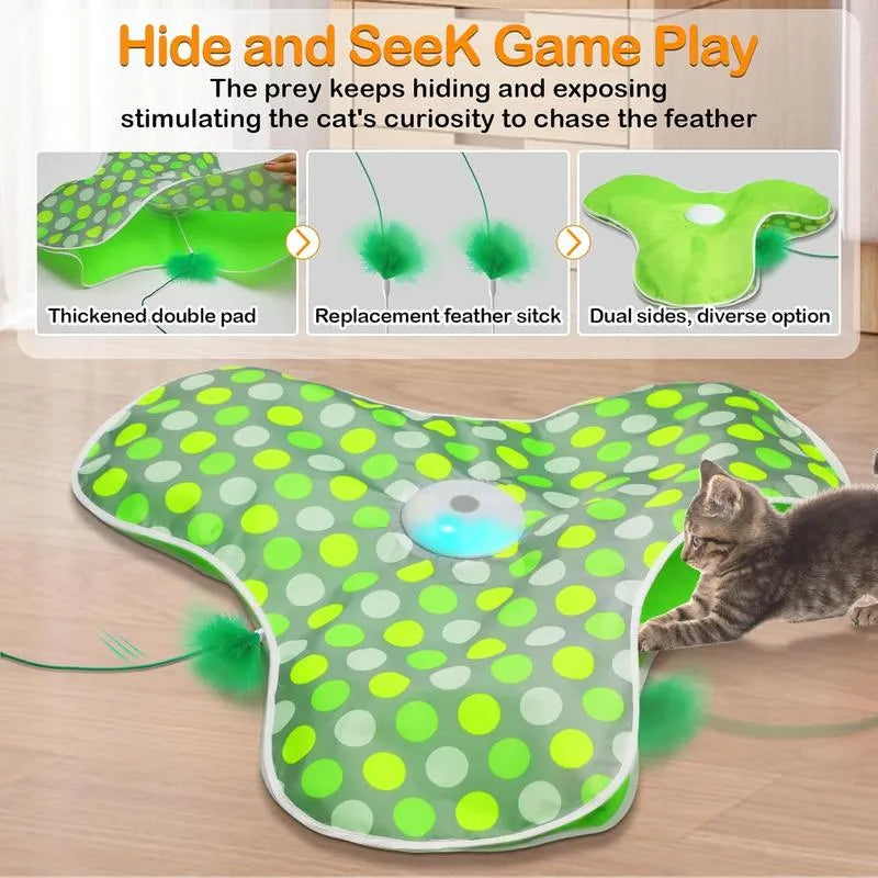 😺 Keep Them Active, Keep Them Happy – Cat Playtime Essential!