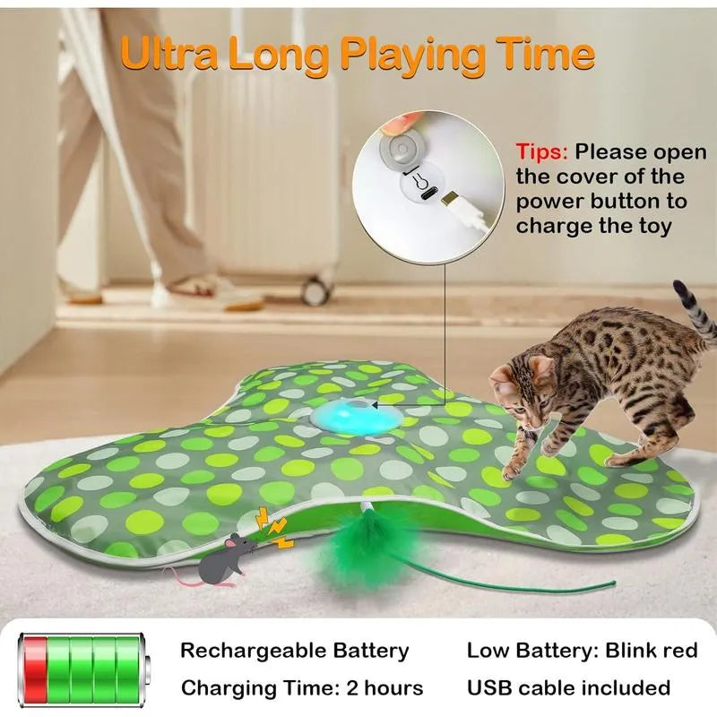 😺 Keep Them Active, Keep Them Happy – Cat Playtime Essential!