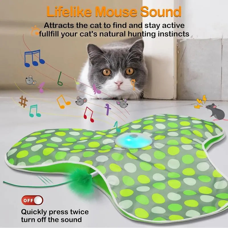 😺 Keep Them Active, Keep Them Happy – Cat Playtime Essential!