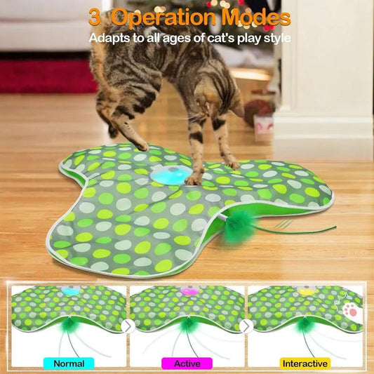 😺 Keep Them Active, Keep Them Happy – Cat Playtime Essential!