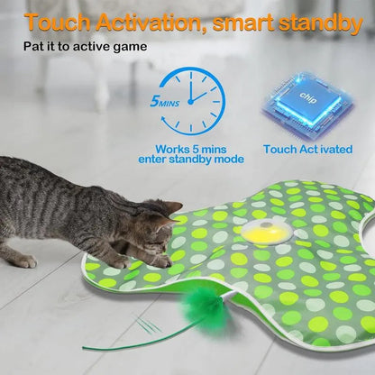 😺 Keep Them Active, Keep Them Happy – Cat Playtime Essential!