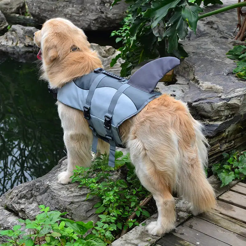 🐕 Playful Yet Powerful – The Best of Both Worlds!