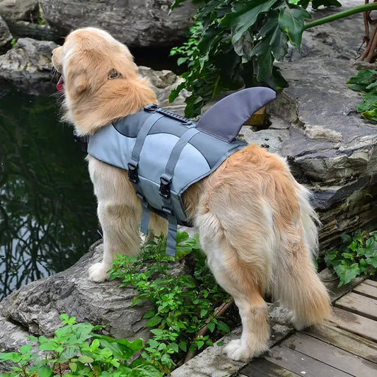 🐕 Playful Yet Powerful – The Best of Both Worlds!