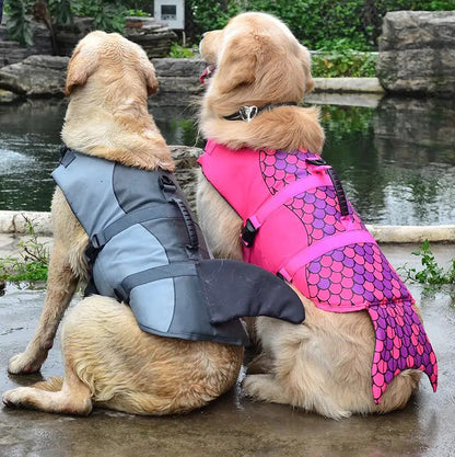 🐕 Playful Yet Powerful – The Best of Both Worlds!