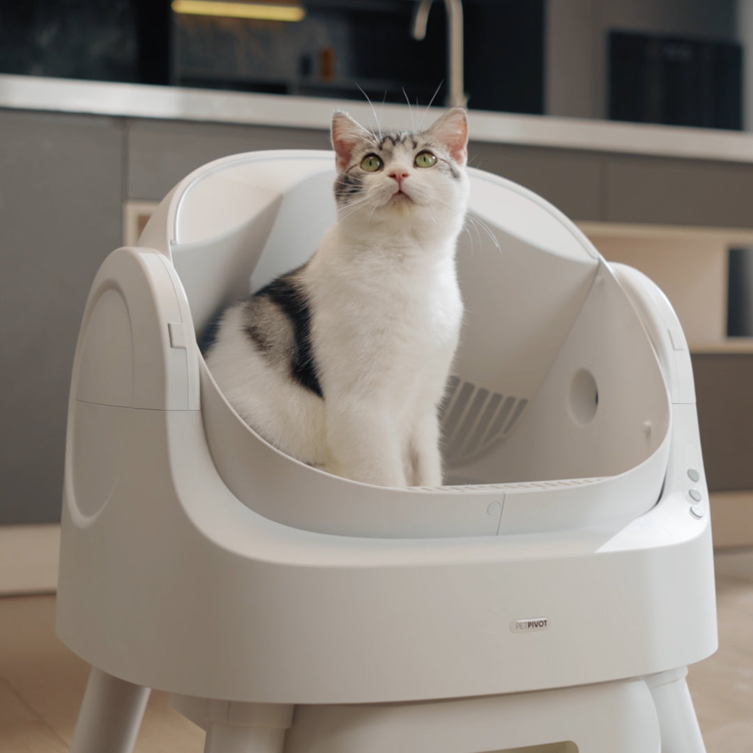 🐱 PetPivot AutoScooper 11 – Self-Cleaning Open-Top Litter Box with Odor-Free Waste