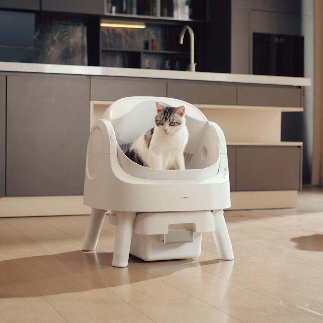 🐱 PetPivot AutoScooper 11 – Self-Cleaning Open-Top Litter Box with Odor-Free Waste