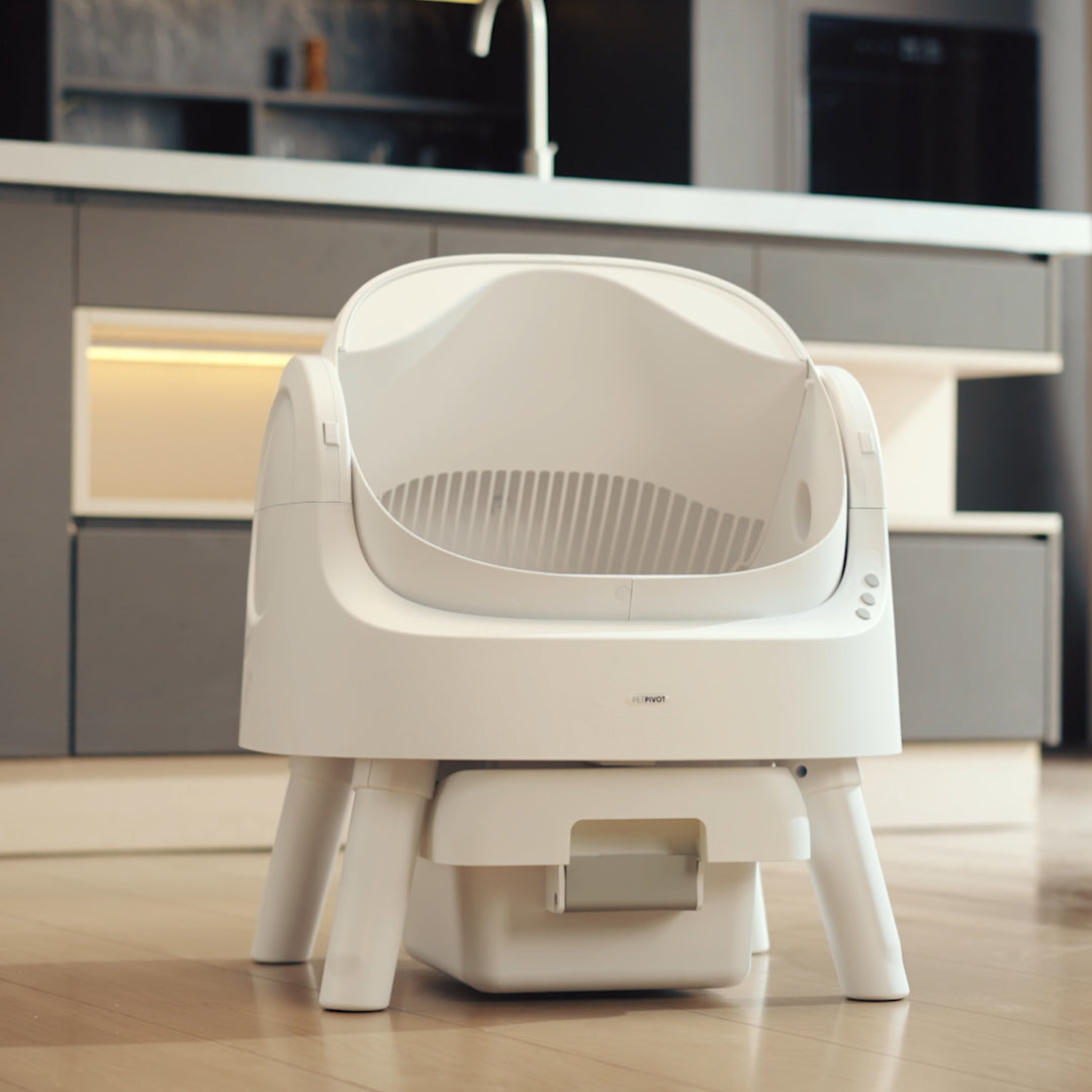 🐱 PetPivot AutoScooper 11 – Self-Cleaning Open-Top Litter Box with Odor-Free Waste