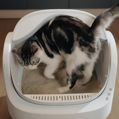 🐱 PetPivot AutoScooper 11 – Self-Cleaning Open-Top Litter Box with Odor-Free Waste